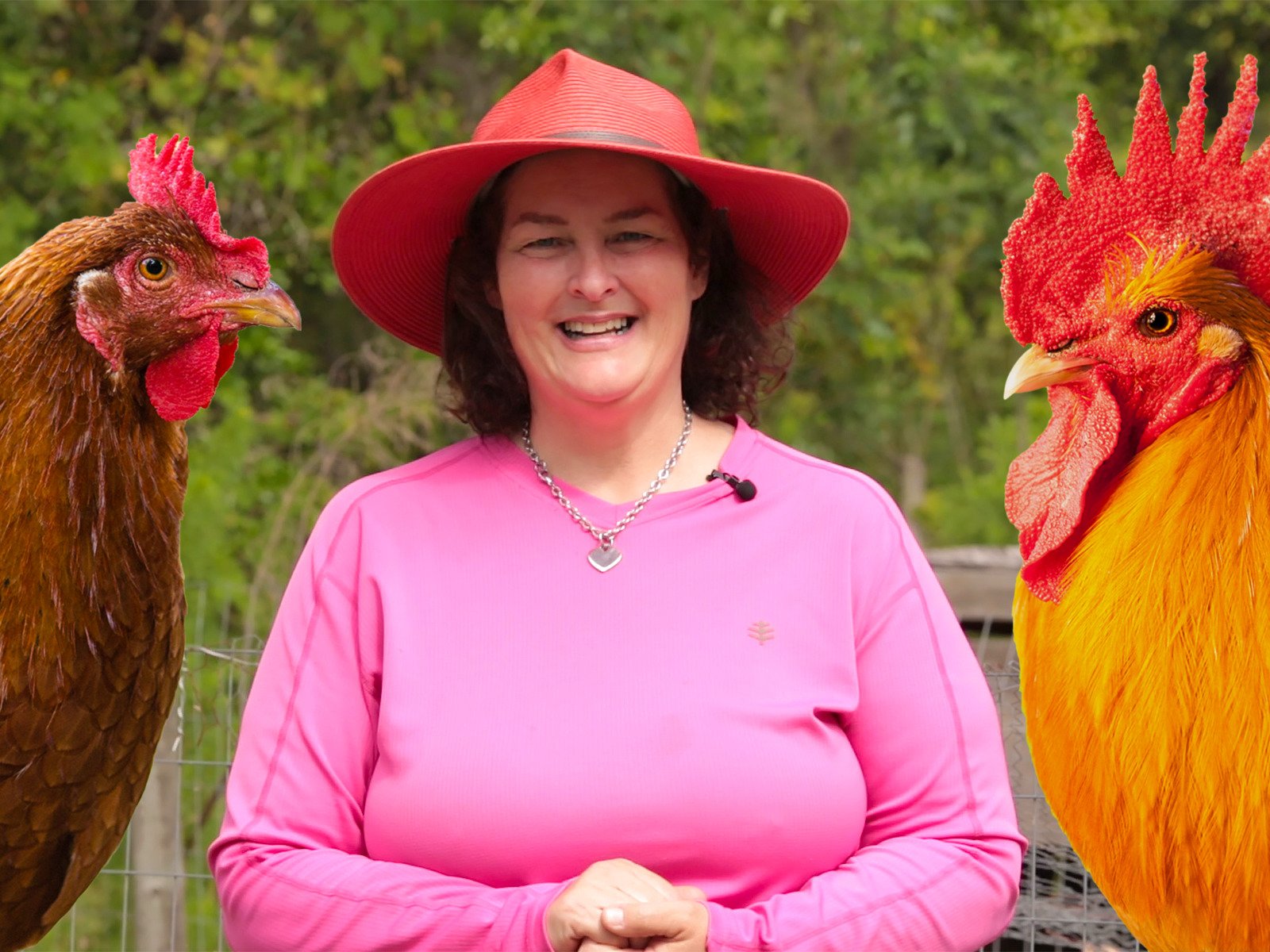 Watch Becky's Homestead Prime Video