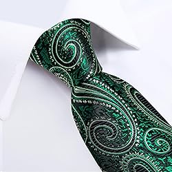 DiBanGu Silk Paisley Ties for Men Woven Necktie and