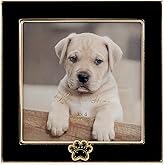 4x4 Black Enamel on Gold Metal Frame - Dog Paw Print