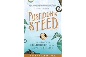 Poseidon's Steed: The Story of Seahorses, From Myth to Reality