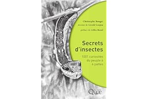 Secrets d'insectes: 1001 curiosités du peuple à 6 pattes (French Edition)