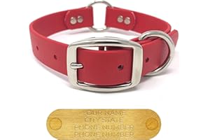 Regal Dog Products Large Red Dog Collar with Custom Engraved Name Plate - Custom Fit, Resistant, Easy to Clean Biothane Water