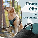 rabbitgoo Dog Harness Large No Pull Front Back Leash Clips Reflective Dark Green view 7