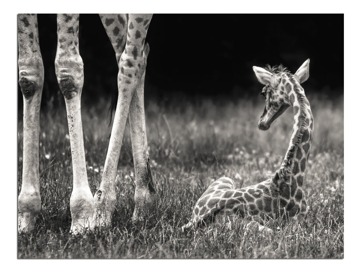 D. Well protected. Leguas. Well protected. мировой океан инфографика.