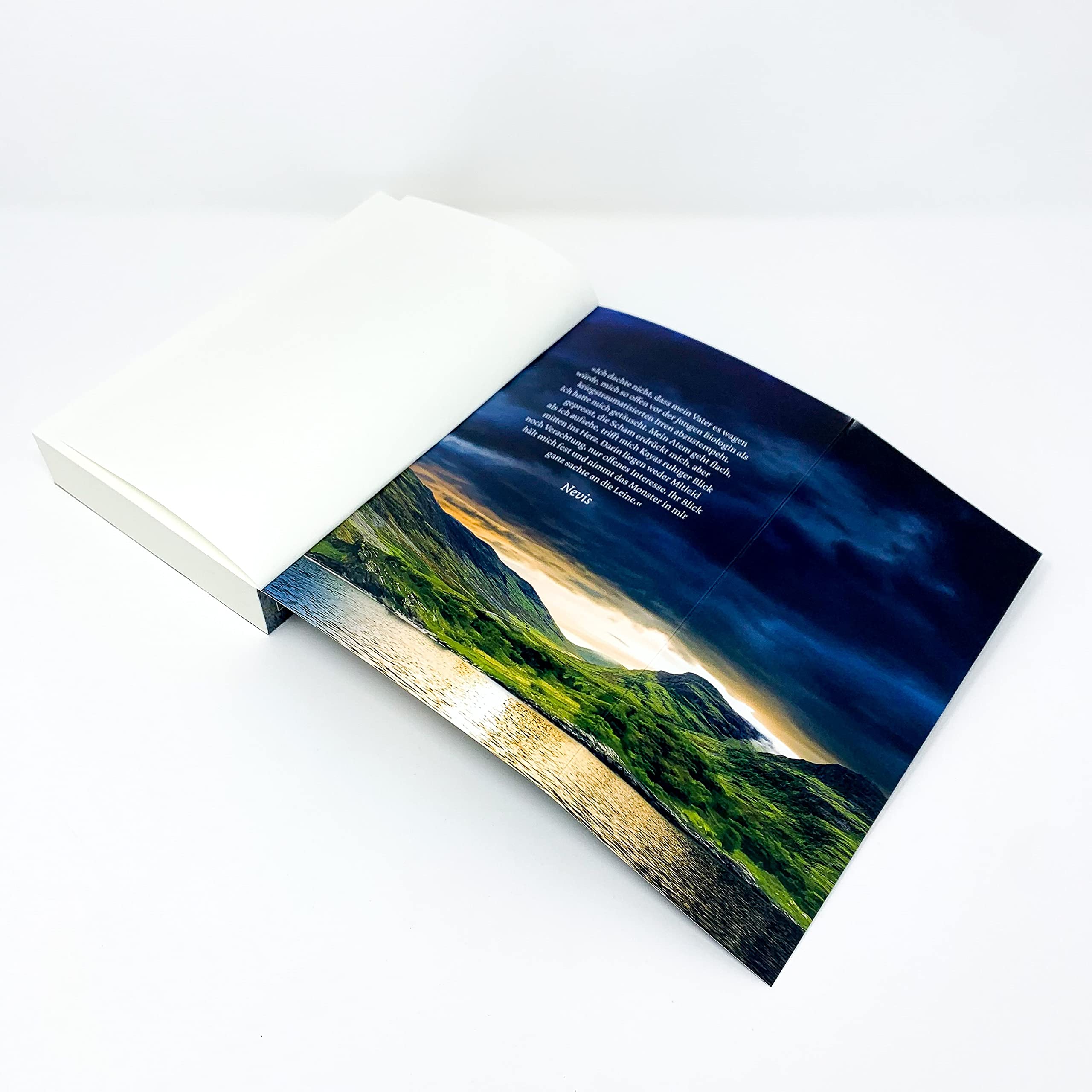 Das Lied Der Wolfe Roman Fischer Rena Amazon De Bucher