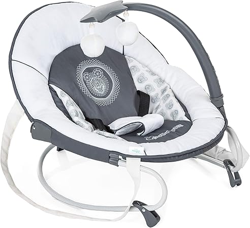 hauck leisure bouncer