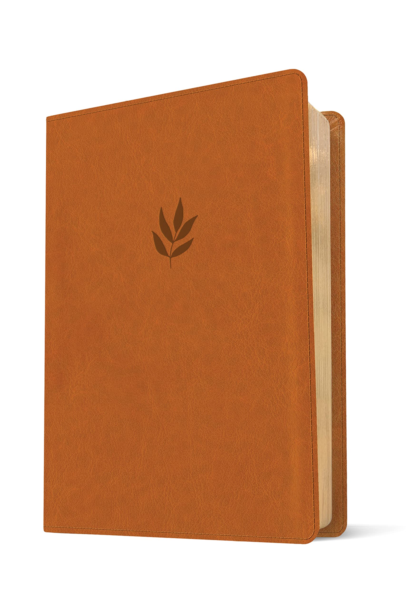 NLT Personal Size Giant Print Bible, Filament-Enabled Edition (LeatherLike, Classic Tan, Red Letter): DaySpring Signature Collection