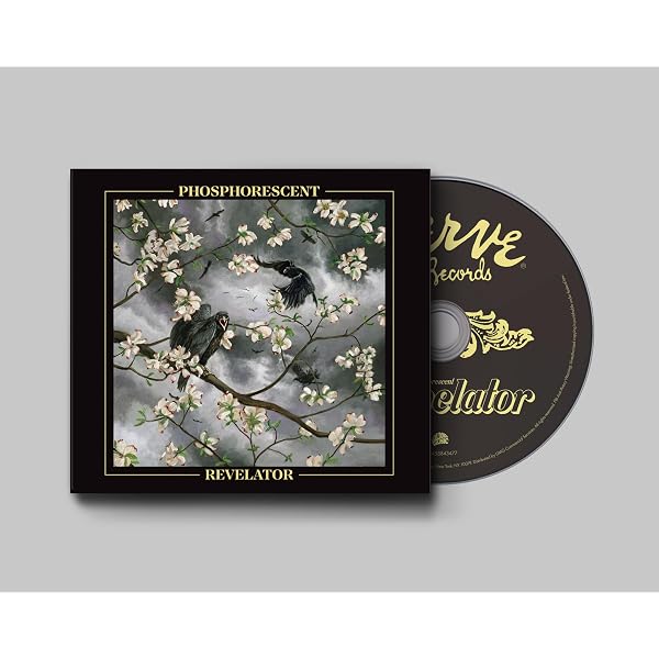 Muchacho: PHOSPHORESCENT: Amazon.ca: Music