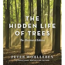Peter Wohlleben 洋書 3冊セット 81Z4x1fyA0L._AC_UL210_SR210,
