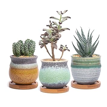 T4U Sukkulenten Übertöpfe Töpfe Keramik Packung mit 3, Kaktus Container Pflanzer Körbe Kästen Kübel Desktop Dekoration Geburt