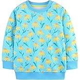AIWUHE Toddler Boys Girls Sweatshirt Crewneck Pullover Long Sleeve Tops Blouse Cotton T-Shirt Fall Winter Clothes 2-6Y