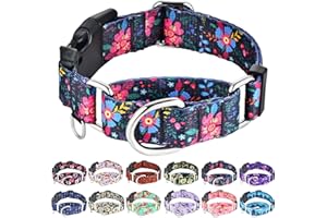 Fidohug Slip Collar for Dogs Martingale Collar with Buckle Floral Adjustable Soft Nylon Dog Collars (Blue Pink Flower, Large)