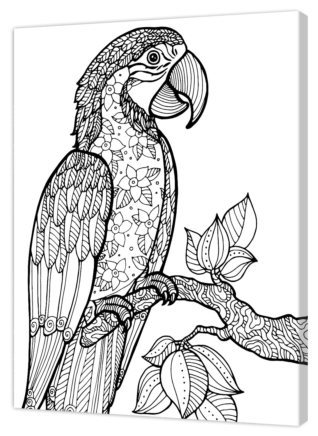 Pintcolor 7805.0 Frame with Printed Canvas Colouring, Fir Wood, white/black, 40 x 50 x 3.5 cm — image 1