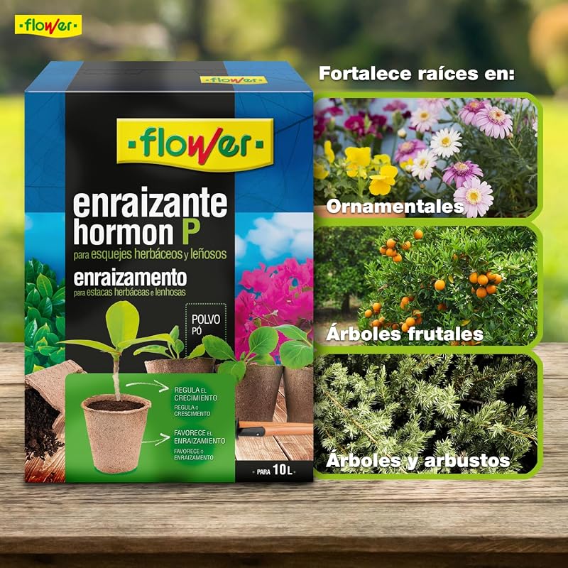 - Enraizante Sólido Hormon P 50 g | Polvo Enraizante para Esquejes y Trasplantes | Con Aminoácidos y Vitaminas | Estimula Raíces | Ornamentales, Árboles y Frutales