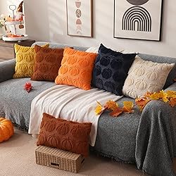 DFXSZ Fall Pillow Covers 18x18 Set of 2 Fall