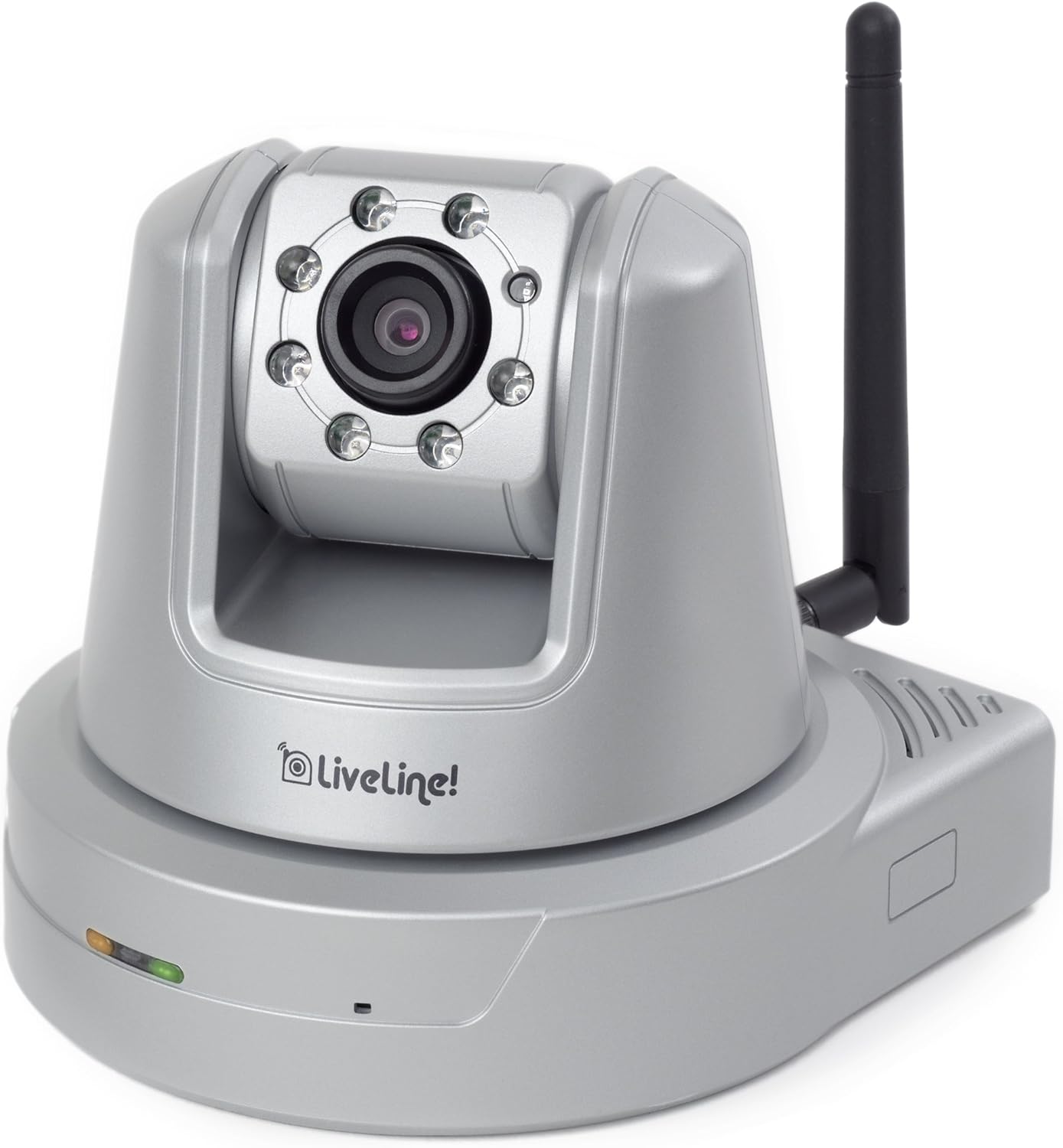 pet video monitoring system