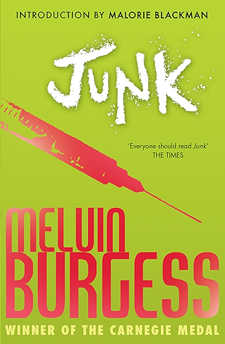 Download Junk (English Edition) PDF