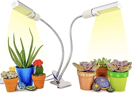 office plant grow light