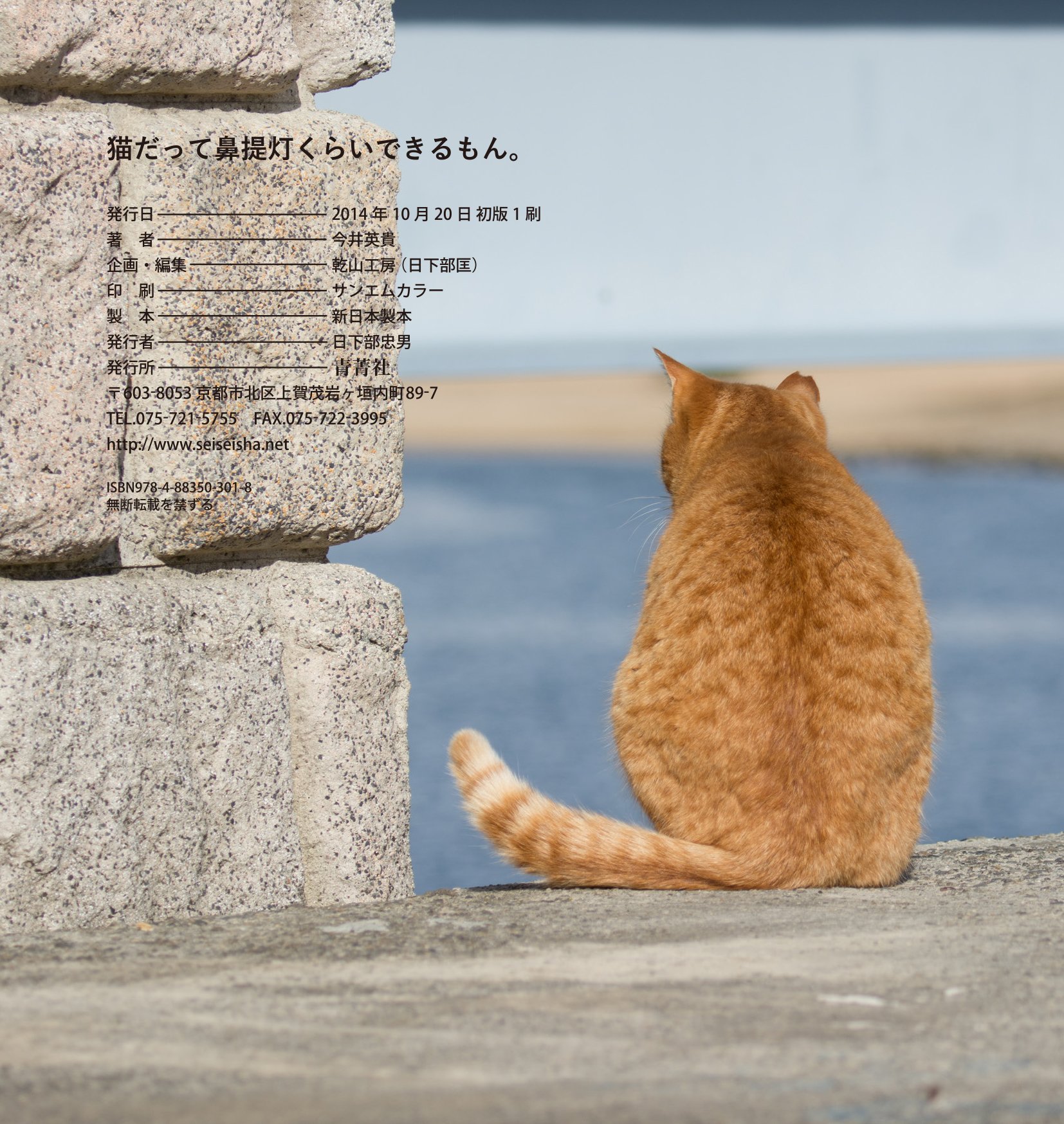 猫だって鼻提灯くらいできるもん あおいとり 本 通販 Amazon