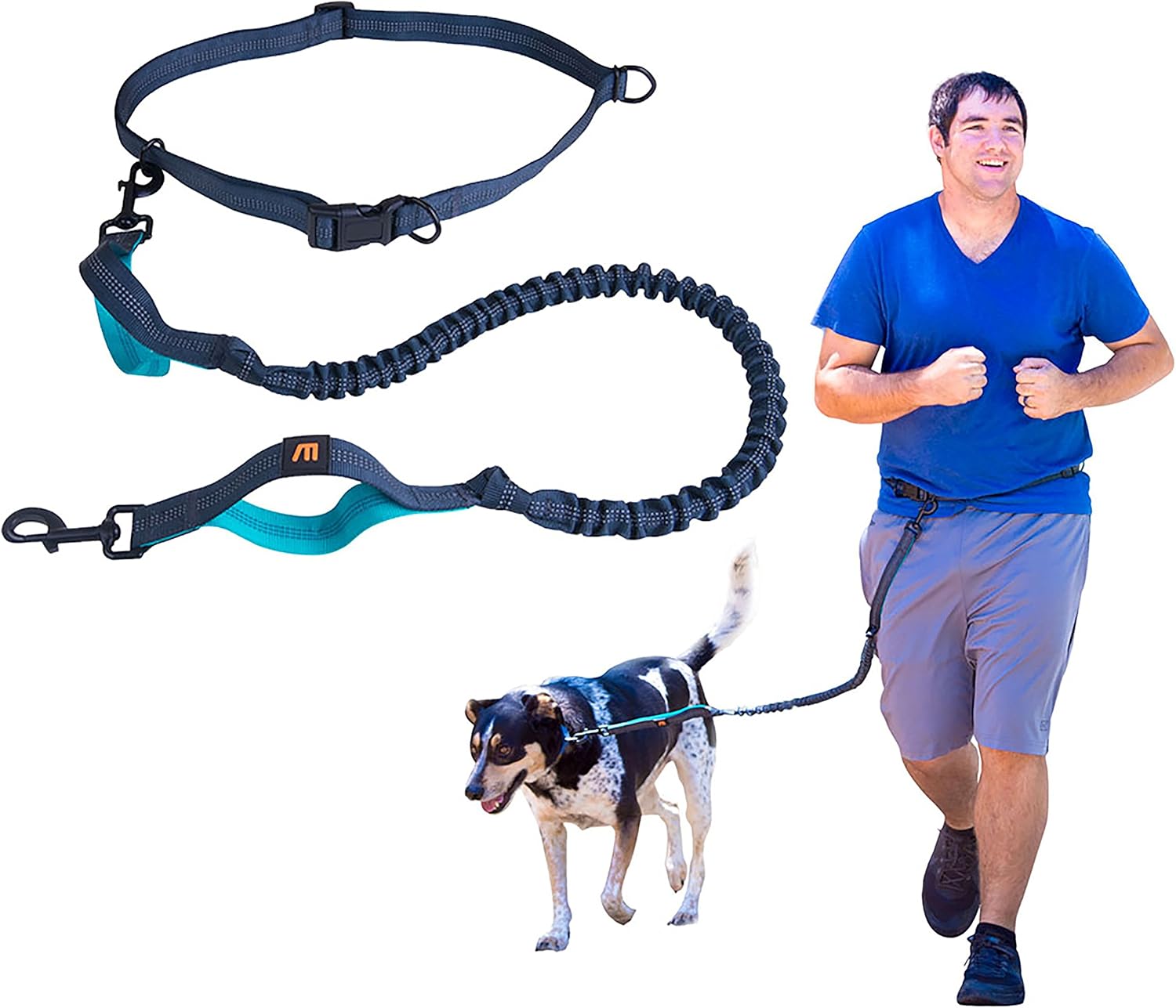 bungee cord leash