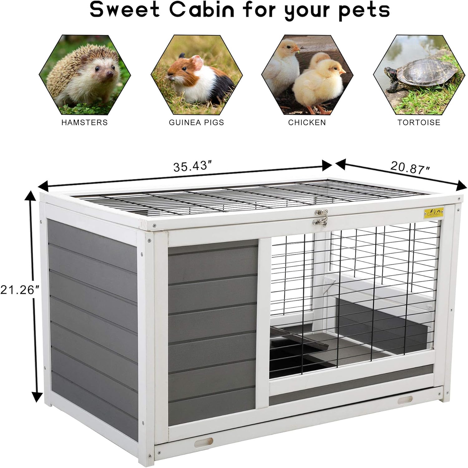 rabbit hutch for tortoise