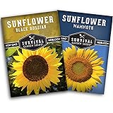 Survival Garden Seeds Edible Sunflower Seed Vault