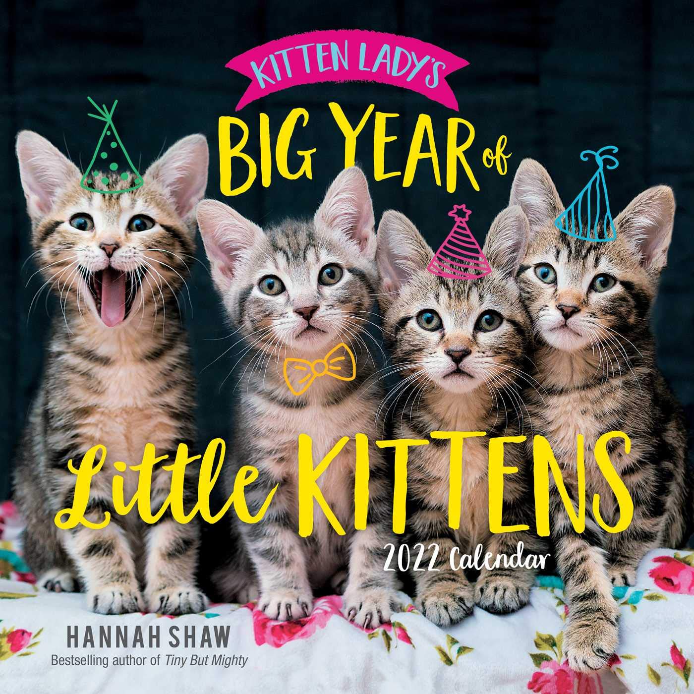Amazon Com Kitten Lady S Big Year Of Little Kittens 2022 Wall Calendar 9781524867812 Shaw Hannah Books