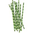 Kikkerland Biodegradable Paper Straws, Bamboo, Box of 144