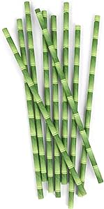 Kikkerland Biodegradable Paper Straws, Bamboo, Box of 144
