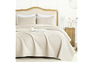 FLYMME Queen Quilt Bedding Set Beige Lightweight Bedspreads Full Size,Soft Microfiber Bed Coverlet for All Season (1 Quilt, 2 Shams)