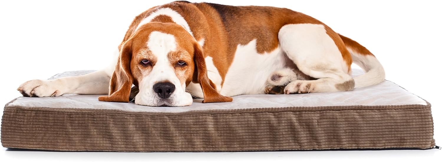 Milliard Quilted Padded Orthopedic Dog Bed, Egg Crate Foam with Plush Pillow Top Washable Cover (47 inches x 29 inhes x 4 inches) : Pet Supplies