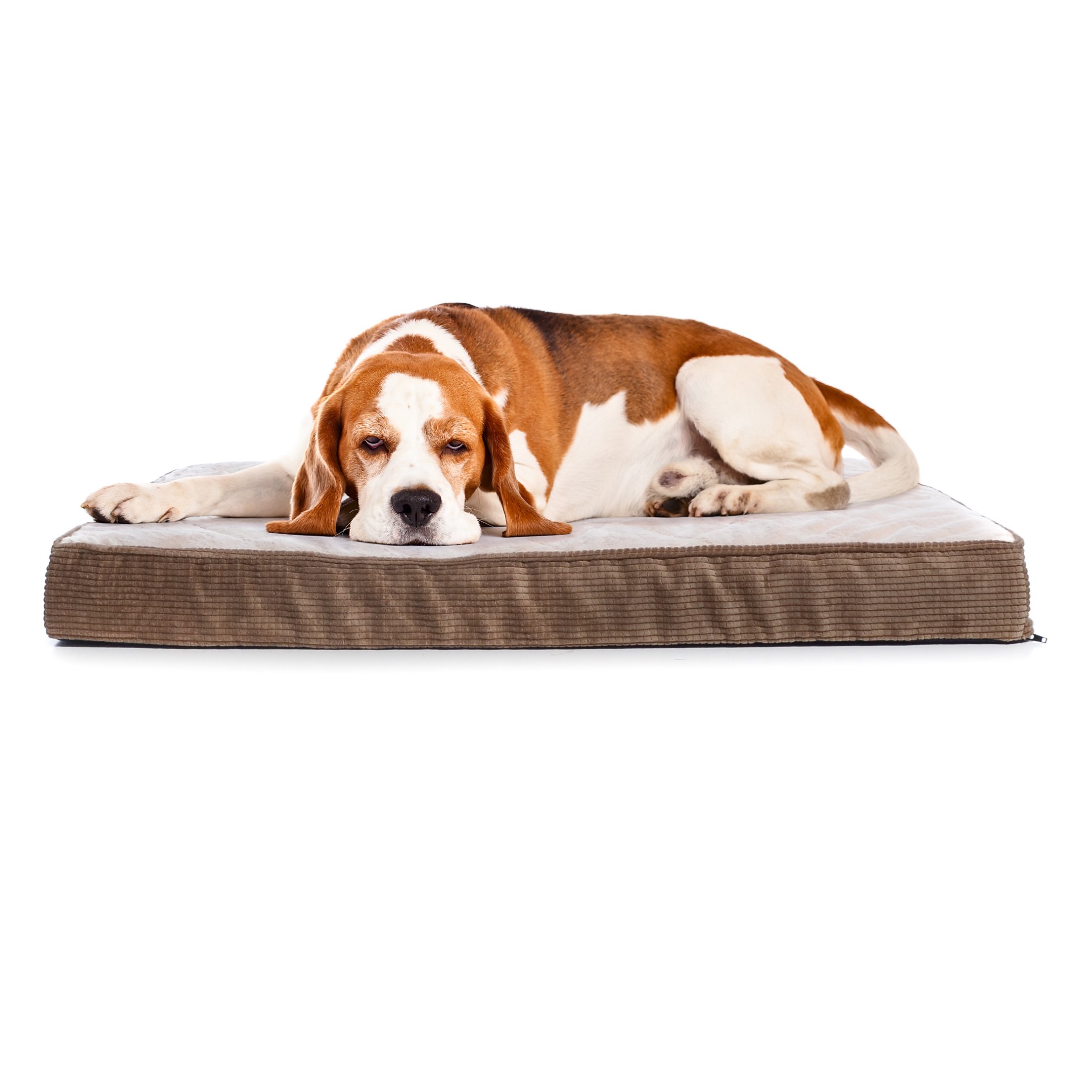 Milliard Quilted Padded Orthopedic Dog Bed, Egg Crate Foam with Plush