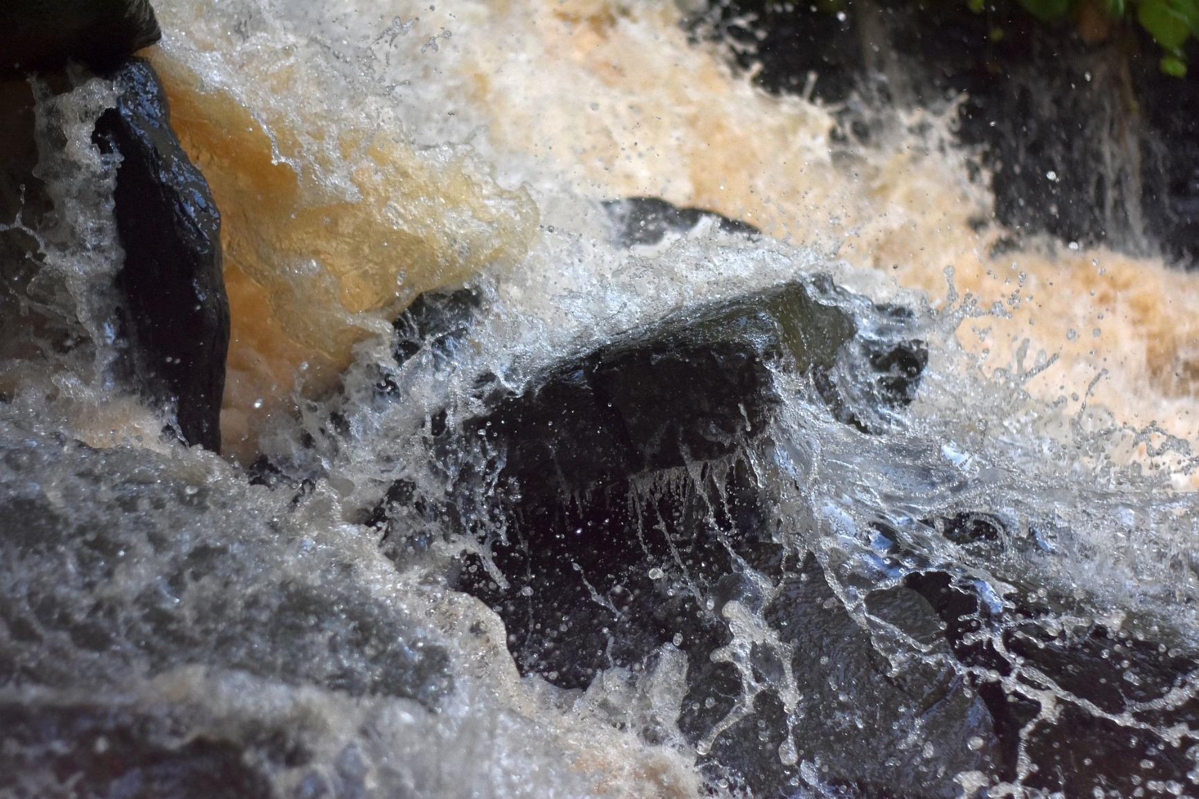 Best "Budget" Prime Lens You'll Find - Absolute Steal for the Price