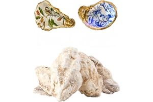 LETRAVAGANCE 10Pcs Oyster Shells for Crafts， 4"-5" Large Oyster Shell for Crafts，Oyster Shells for Christmas 、Painting、 Beach Themes、 Wedding, Home Shells for Decoration and Sea Shells for Crafting (10)