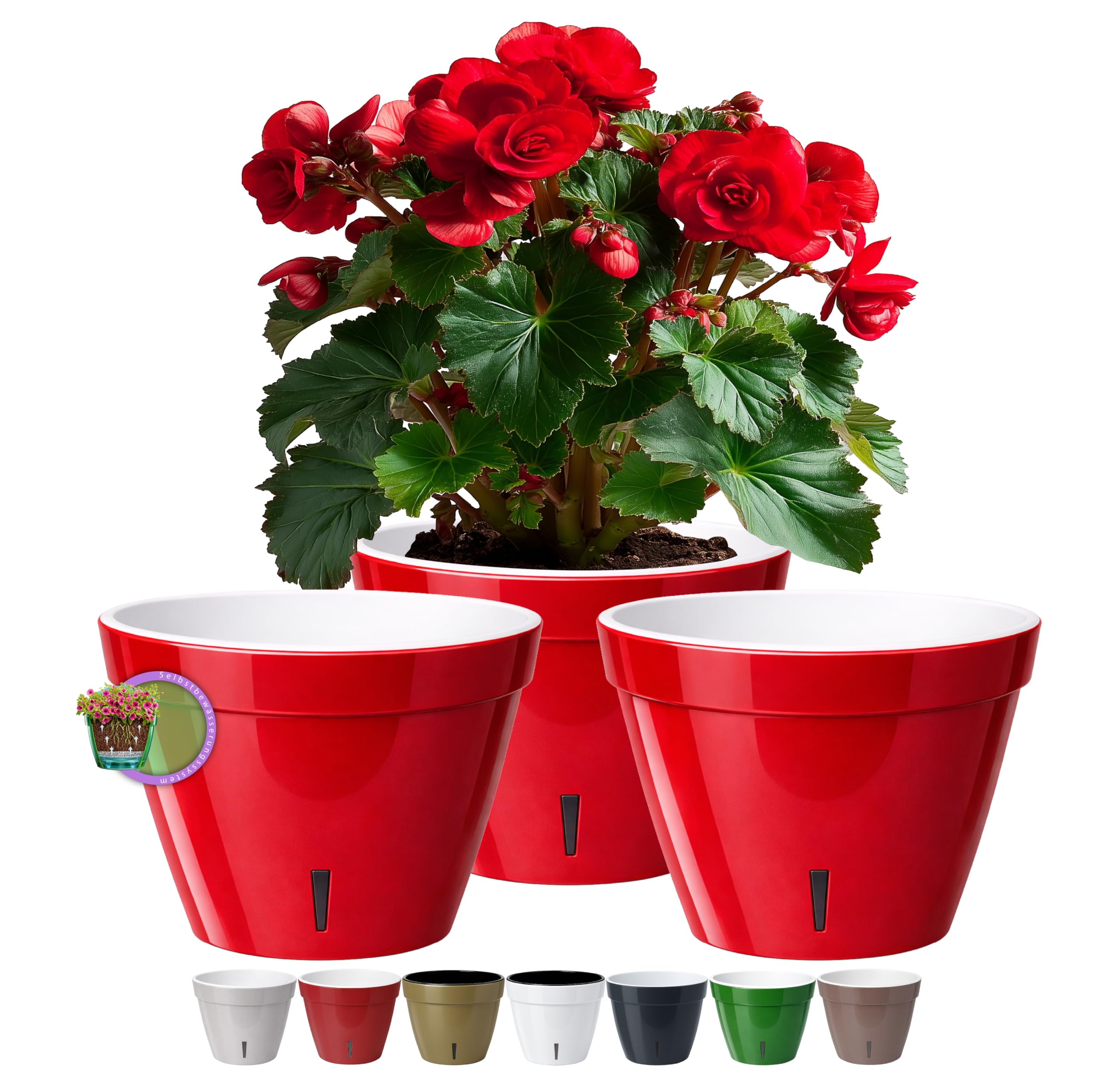 Santino ASTI 7.9 Inch Self Watering Planters (SET OF 3) for Indoor Plants - Modern Flower Pots w/Water Level Indicator for All Plants, Violets and Dahlias - (Ø 7.9 Inch, 4 L, RED-PEARL/WHITE) — image 1
