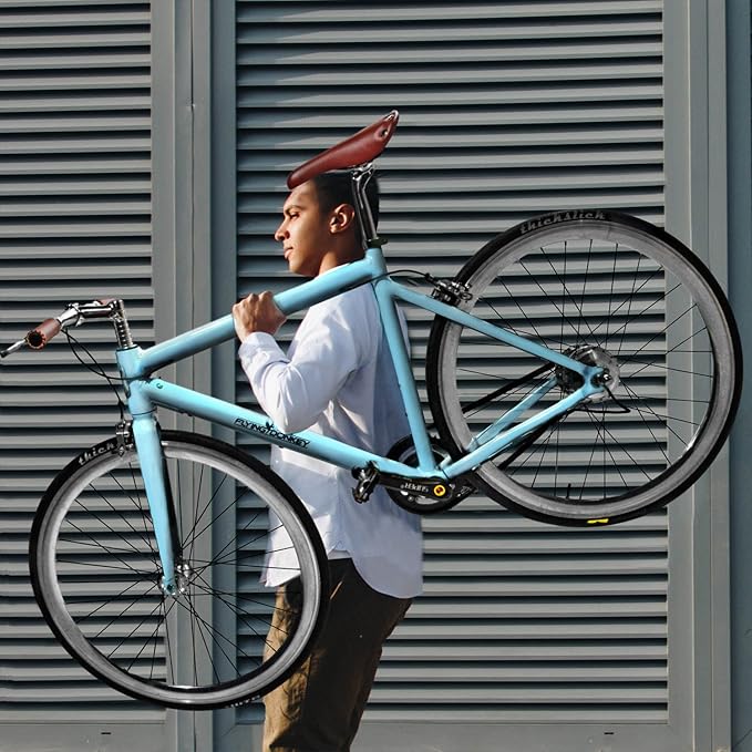 flying donkey singlespeed