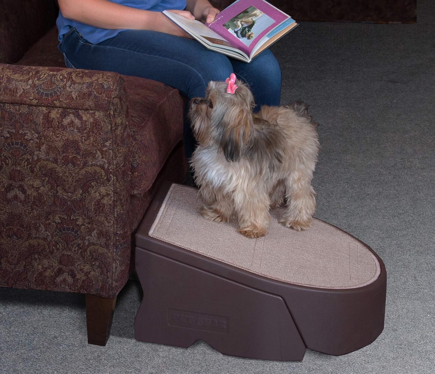 pet gear stramp stair and ramp combination