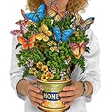 Freshcut Paper Pop Up Cards, Paper Flower Bouquet