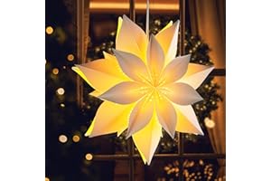 EANLOLY 3D LED Star Paper Lantern - 18" Christmas Decorations Indoor, Twinkle Fairy Lights Window Decor, Holiday Party Hanging Lighted Stars Ornaments