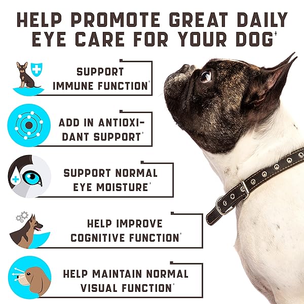 EYE VITAMINS FOR DOG EYE HEALTH & TEAR STAINS – CLEAR VISION SOFT CHEWS FOR DOG EYE CARE & IMMUNE SUPPORT WITH LUTEIN, LYCOPENE, VITAMIN C, CARROT, FISH OIL FOR ALL BREEDS AND AGES – 180CT