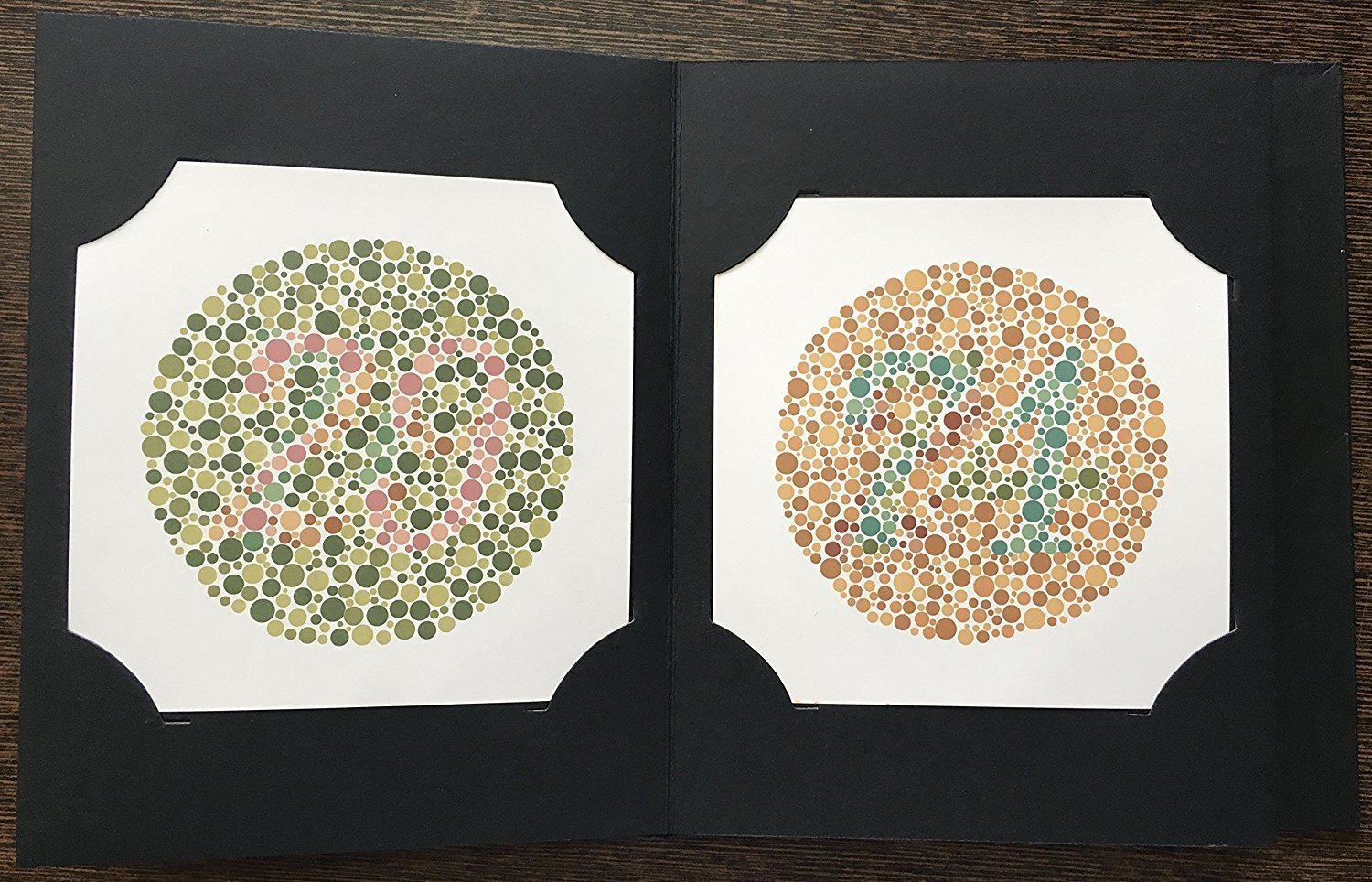 Les Tests D Ishihara Pour La Carence En Couleur 14 Plaques Concise