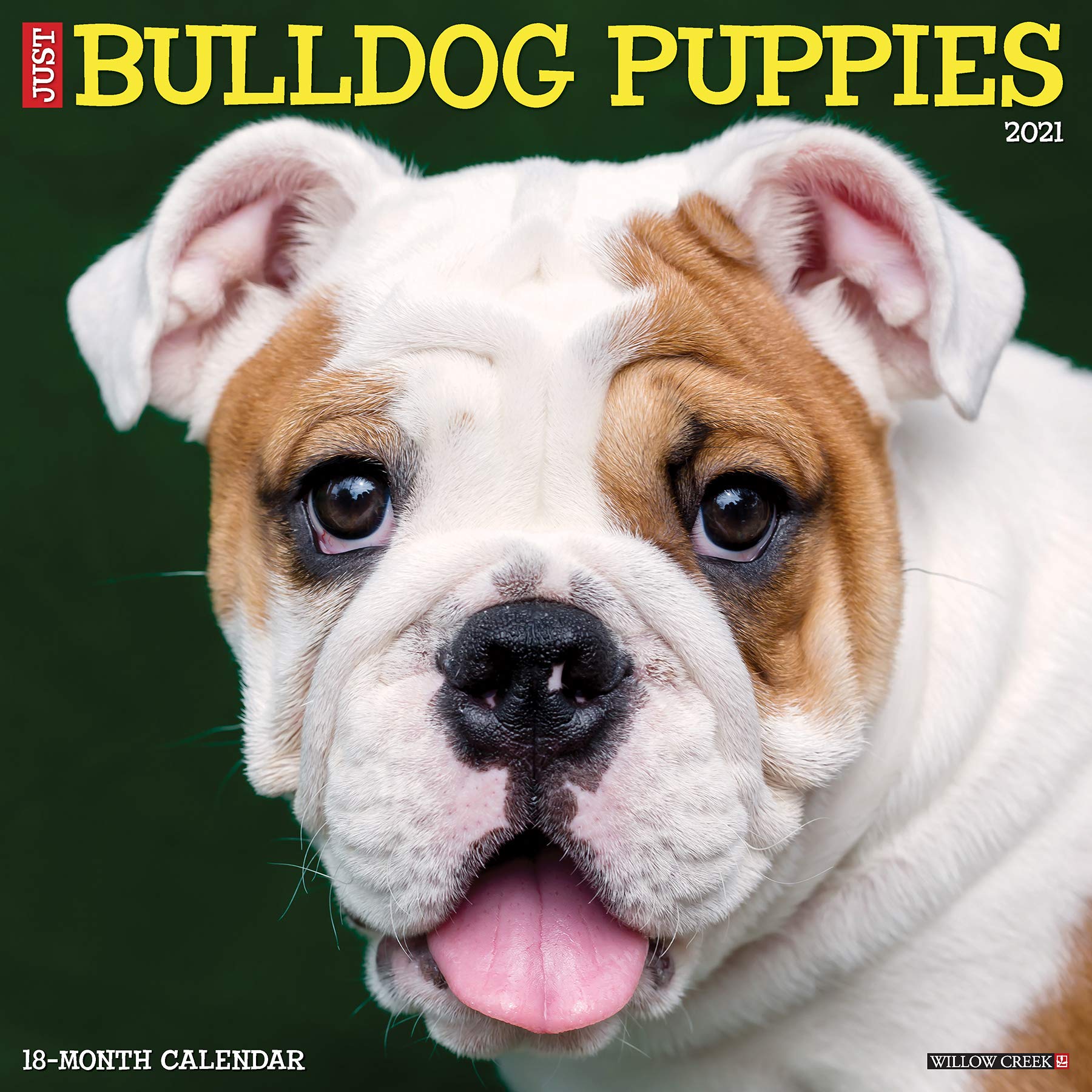 Just Bulldog Puppies 2021 Wall Calendar Dog Breed Calendar Willow Creek Press 0709786055340 Amazon Com Books