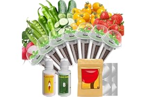 LYKOCLEAN Tomato Seed Pod Kit for AeroGarden Hydroponics Growing System, 350+ Seeds, Include Red Pepper, Green Pepper, Yellow Pepper, Purple Bell Pepper, Cucumber, Red Cherry Tomato, Golden Tomato