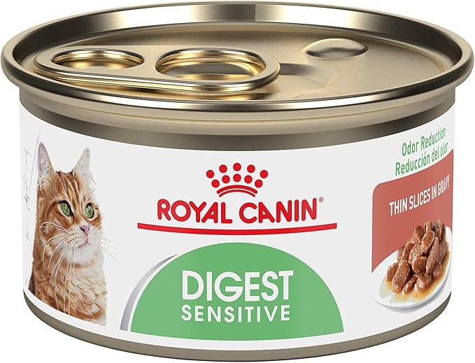 royal canin digest sensitive dry cat food