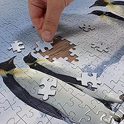 Ambesonne Sea Animals Jigsaw Puzzle, 2 Pairs of