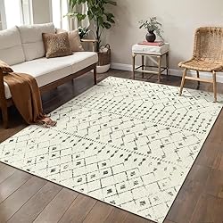 SERISSA Washable Area Rug,3x5 Soft Non Slip Indoor
