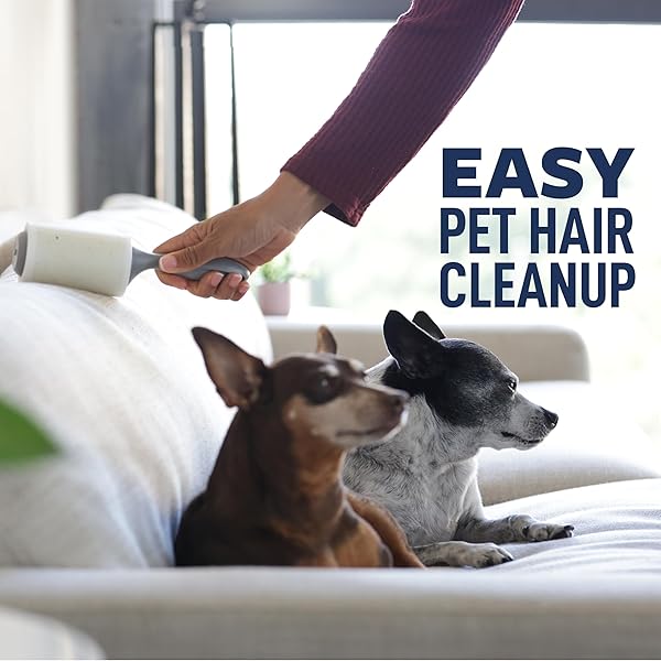 SCOTCH-BRITE EVERYDAY CLEAN LINT ROLLER, 3 PACK, LINT REMOVER FOR PET HAIR, DARK CLOTHES, FURNITURE, AND DUSTY SURFACES, PICKS UP FUR & FLUFF IN YOUR HOME, CAR & OFFICE, 300 ADHESIVE SHEETS TOTAL