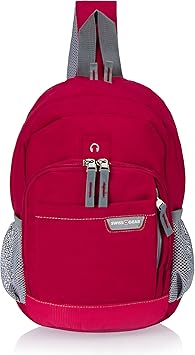 swissgear mini backpack