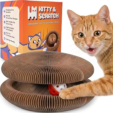 Amazon.com New Releases: The best-selling new & future releases in Cat Toys
