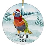 Santa Hat and Scarf Welcome Winter Rainbow Lorikeet